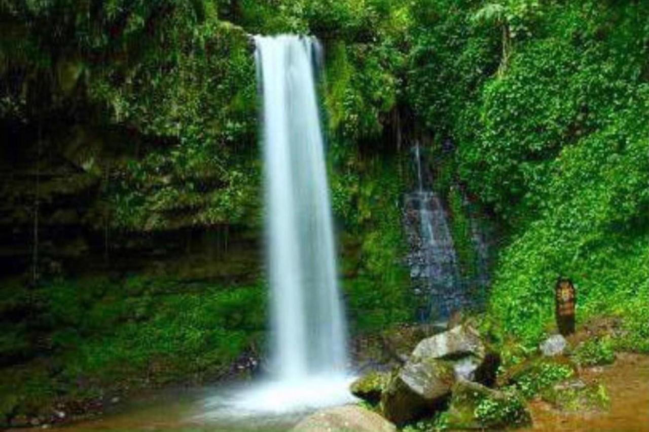 Oyo Home 90396 Mahua Rainforest Paradise Tambunan Εξωτερικό φωτογραφία